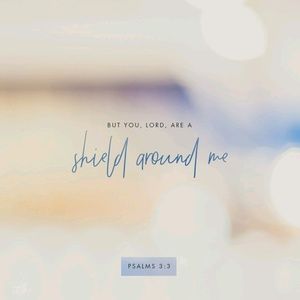 Meet your Posher, Lucy